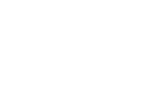 Linea audit partner logo