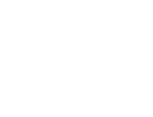 Sui audit partner logo